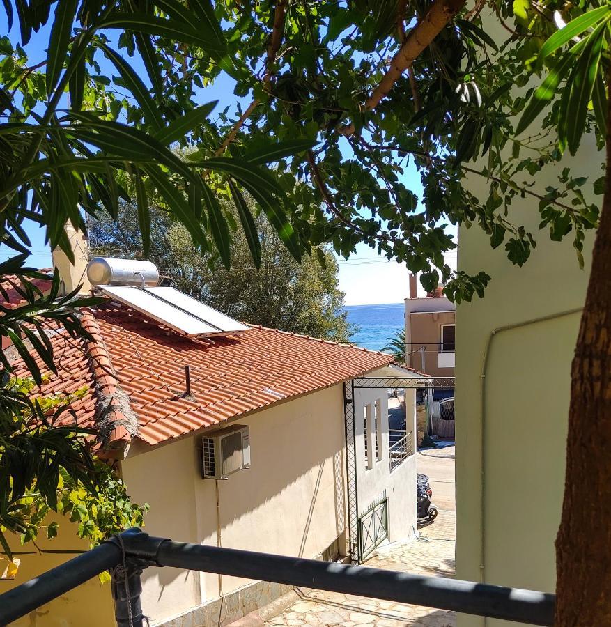 Ellinas Hotel Χρυσή Αμμουδιά Εξωτερικό φωτογραφία
